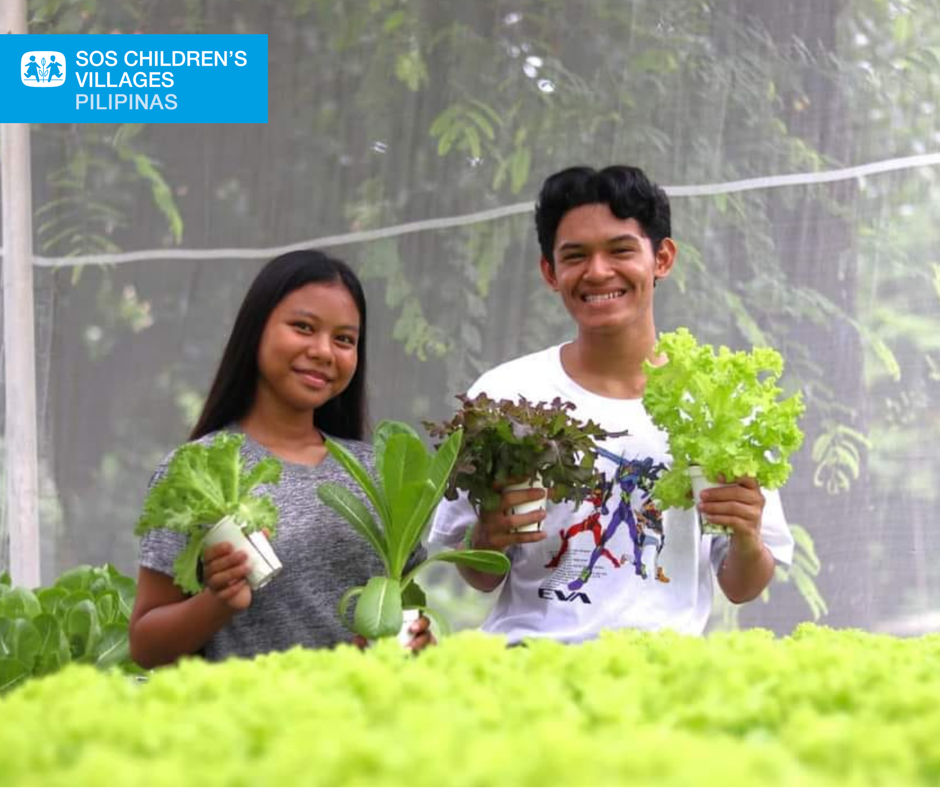 A Smart Solution for a Child’s Nutrition: The Hydroponics Garden in CV ...